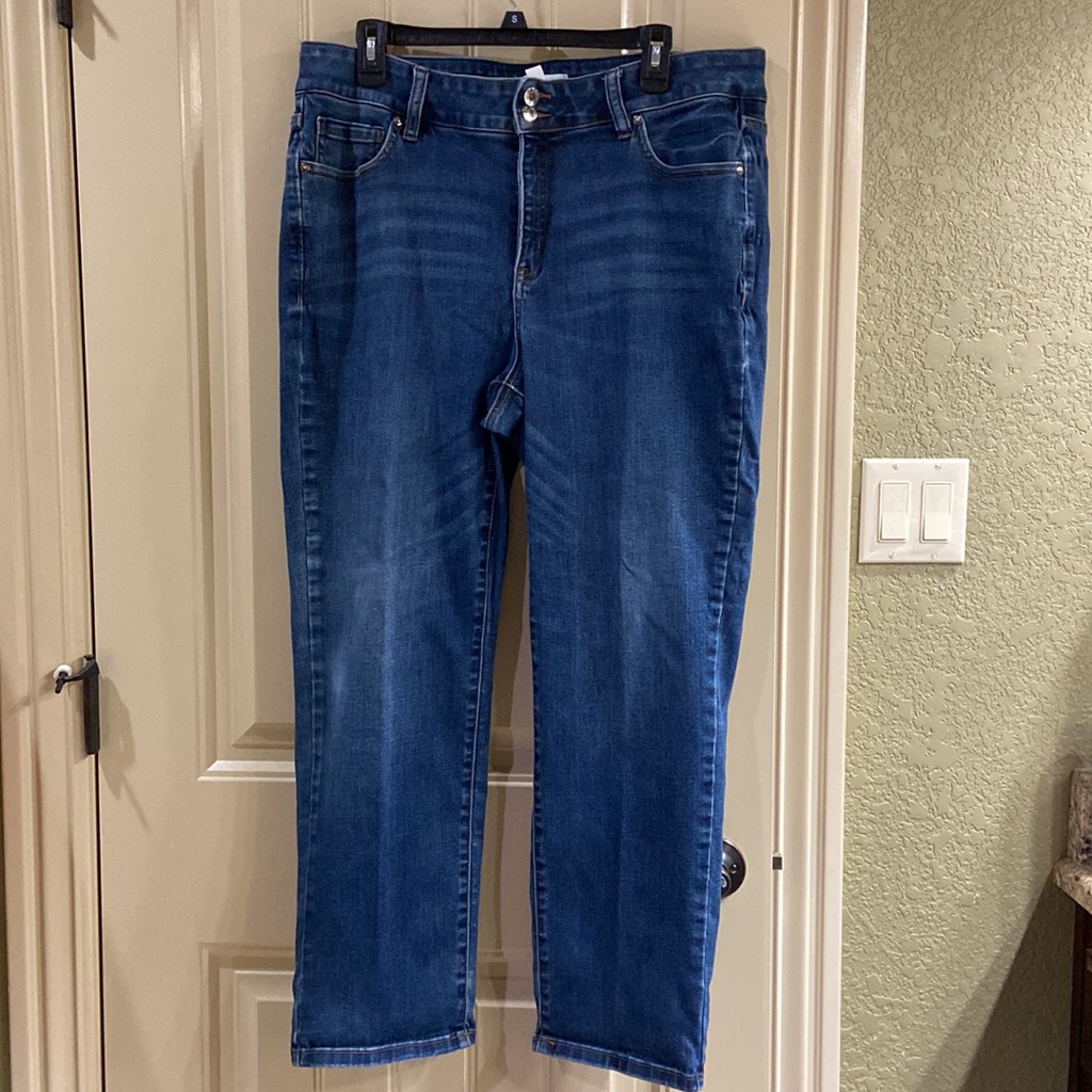 Womens Jean By Lane Bryant Brand Euc